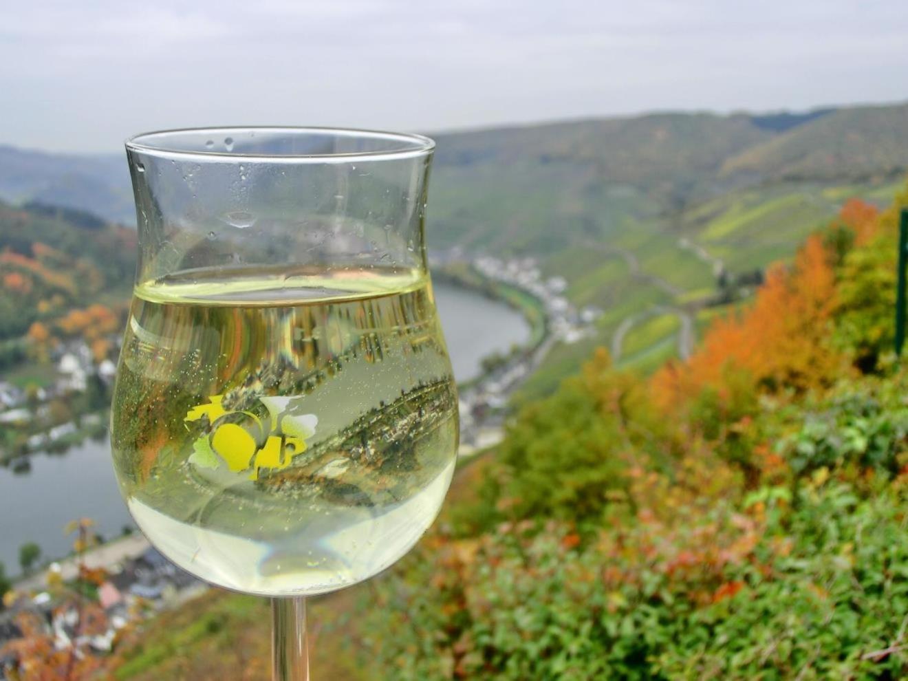 Mosel Ferienhaus Zell ภายนอก รูปภาพ